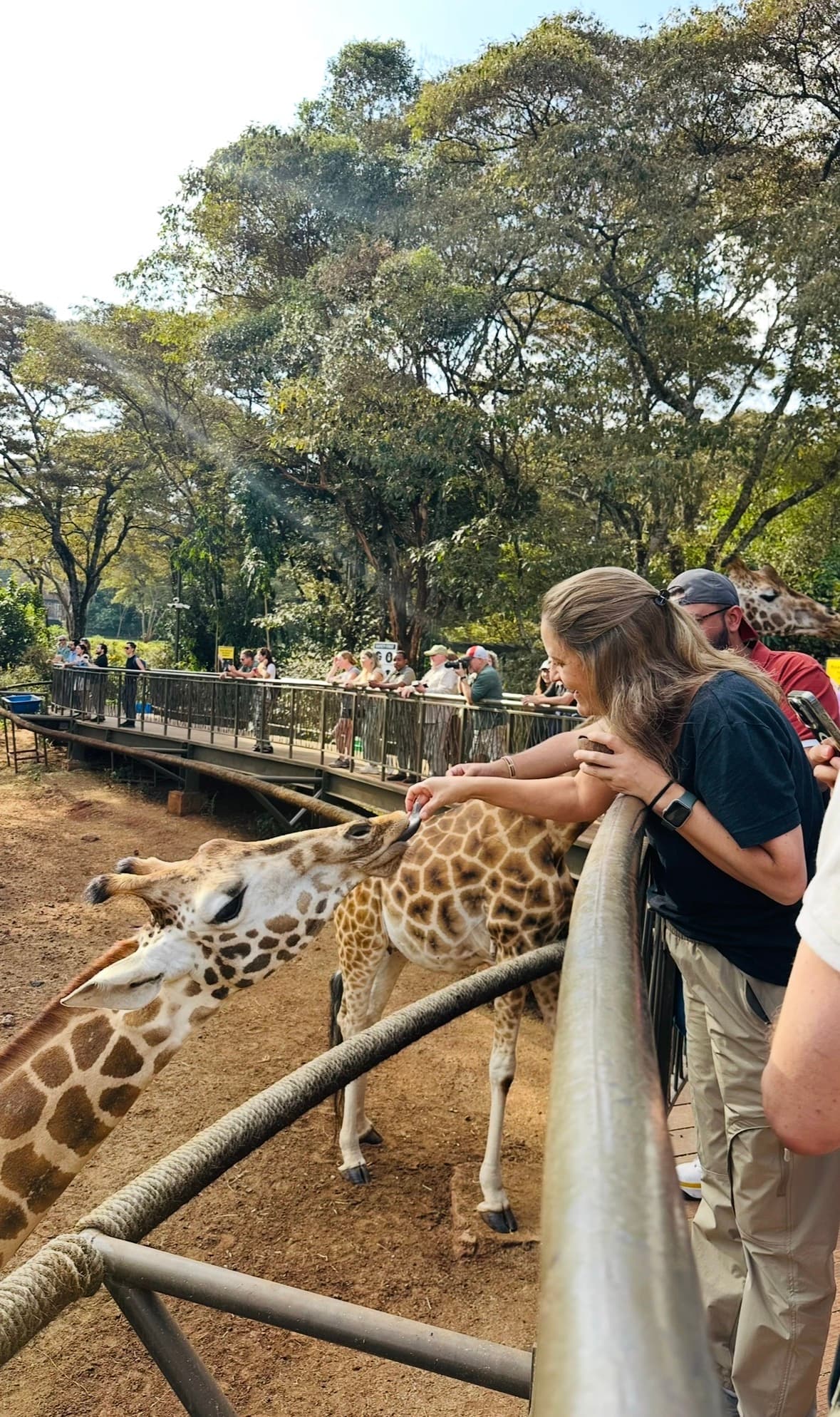 Nairobi Safari Experience